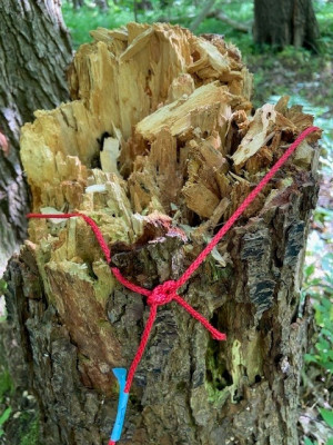Ecoart4