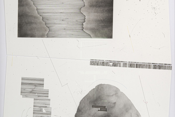 Katherina Heil Collecting Anomalies detail2 Foto Jhoeko