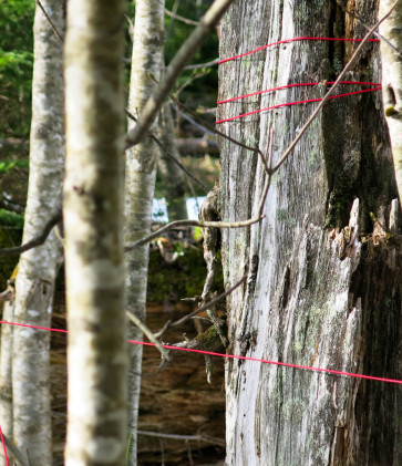 Kunst Natur Erlebnis ars eco lab 6447