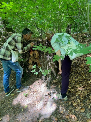 eco Art1